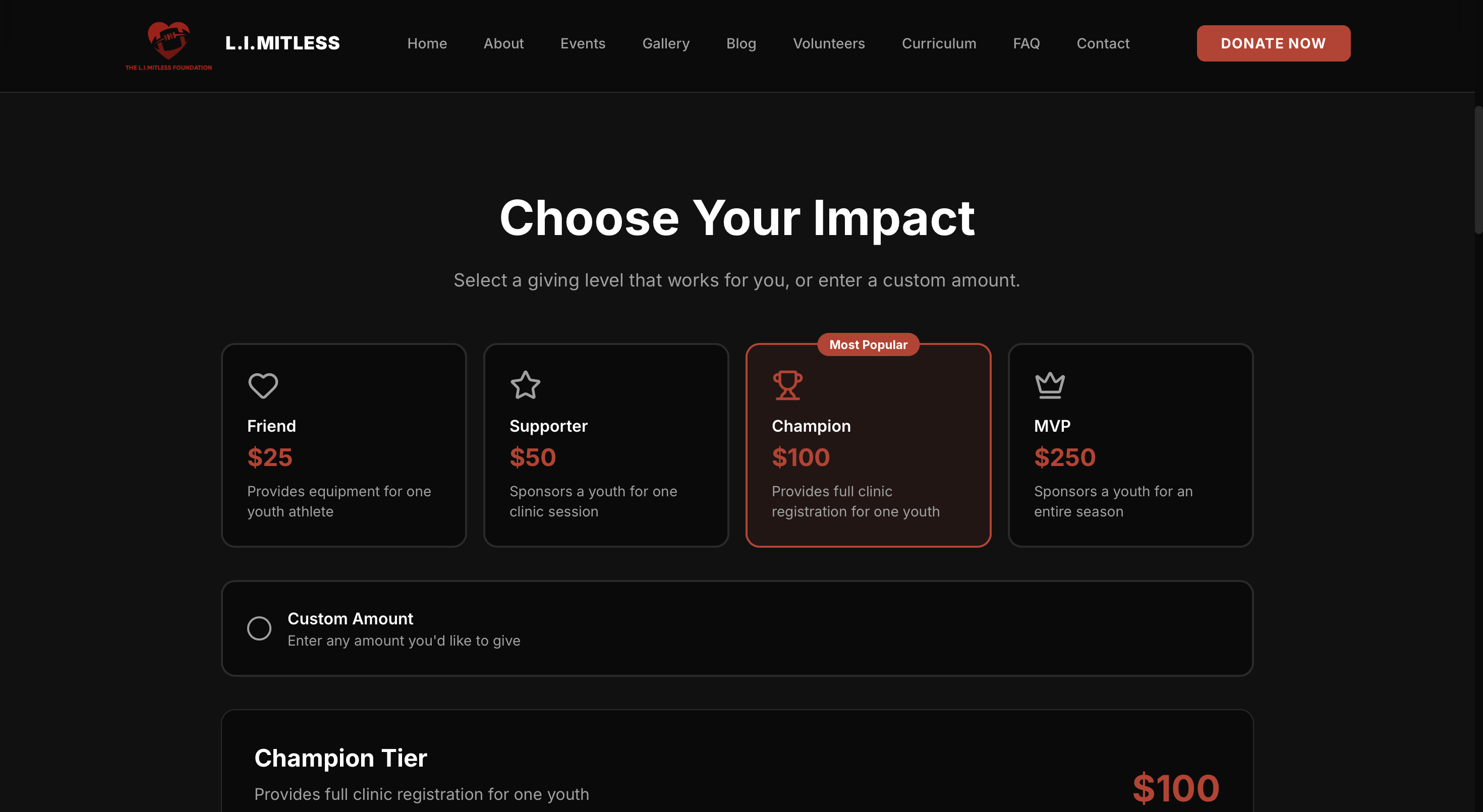 The L.I.MITLESS Foundation screenshot 2